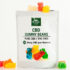 What Are Amanita Mushroom Gummies?