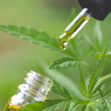 Factors to Consider When Choosing Effective CBD Oil