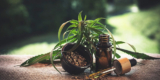 A Beginner’s Guide to the Different Types of CBD Products