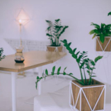 Grow Lights for Your CBD Indoor Garden – 6 Easy Guidelines