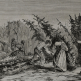 Everything You Need to Know About the History of CBD Oil