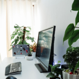 3 Important Pieces Of Advice To Ensure The Growth And Health Of Your Plants