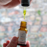 What You Should Know About CBD Before Consuming It